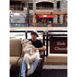 Meet your Posher, James